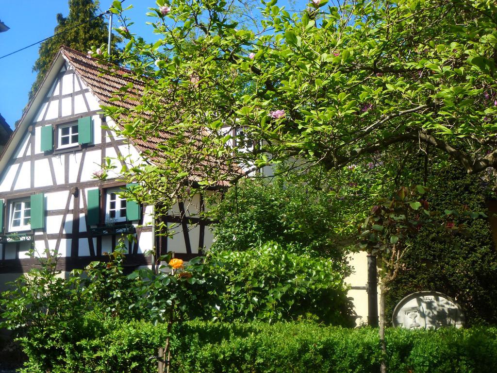 Baumanns Landhaus Villa Durbach Exterior photo